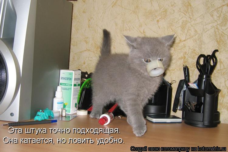 Эта штука точно подходящая. Она катается, но ловить удобно.... Котоматрица: Эта штука точно подходящая. Она катается, но ловить удобно.