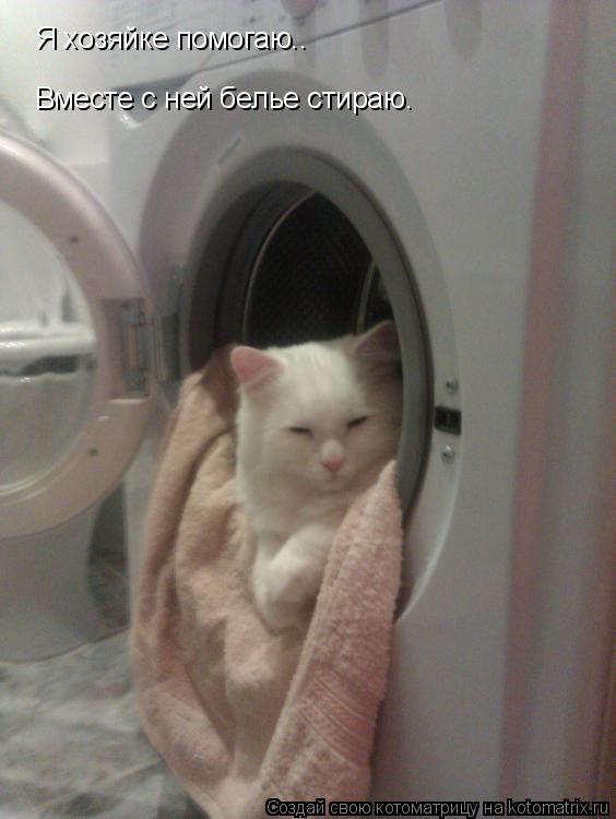 Я хозяйке помогаю.. Вместе с ней белье стираю.... Котоматрица: Я хозяйке помогаю.. Вместе с ней белье стираю.