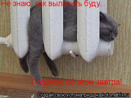 Не знаю, как вылазить буду... Подумаю об этом завтра!..... Котоматрица: Не знаю, как вылазить буду... Подумаю об этом завтра!..