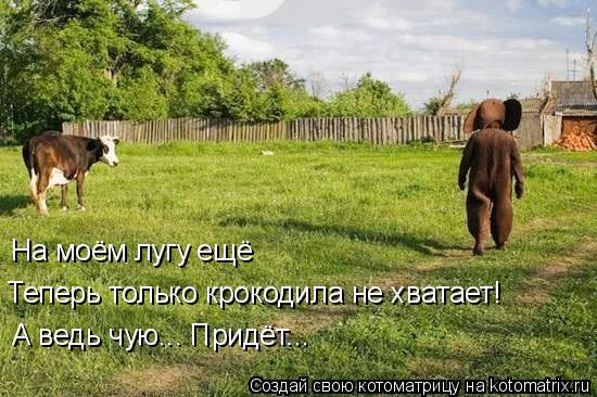 На моём лугу ещё Теперь только крокодила не хватает! А ведь чую... Придёт...... Котоматрица: На моём лугу ещё Теперь только крокодила не хватает! А ведь чую... Придёт...