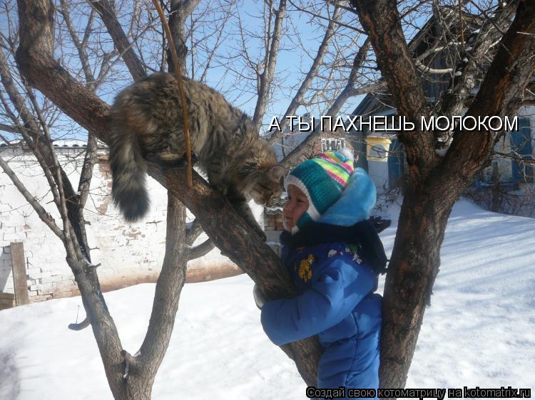 А ТЫ ПАХНЕШЬ МОЛОКОМ А ТЫ ПАХНЕШЬ МОЛОКОМ... Котоматрица: А ТЫ ПАХНЕШЬ МОЛОКОМ А ТЫ ПАХНЕШЬ МОЛОКОМ