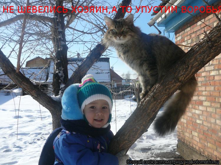 НЕ ШЕВЕЛИСЬ ХОЗЯИН,А ТО УПУСТИМ ВОРОБЬЯ... Котоматрица: НЕ ШЕВЕЛИСЬ ХОЗЯИН,А ТО УПУСТИМ ВОРОБЬЯ