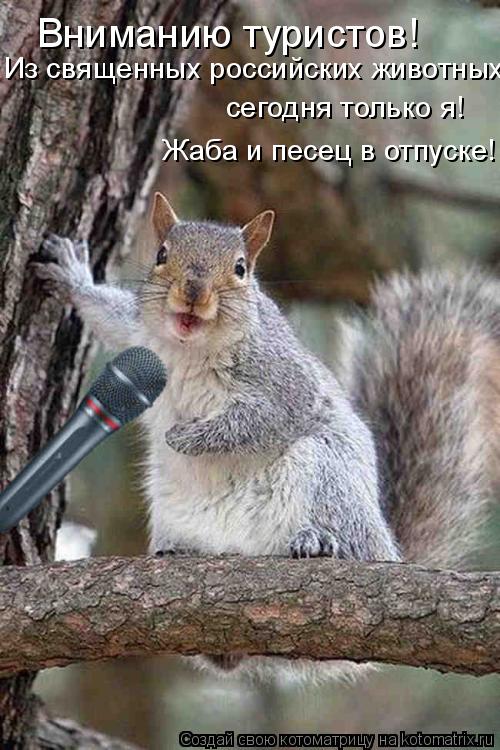 Вниманию туристов! Из священных российских животных сегодня только я! Жаба и песец в отпуске!... Котоматрица: Вниманию туристов! Из священных российских животных сегодня только я! Жаба и песец в отпуске!