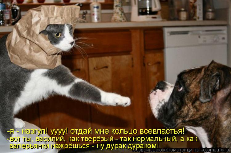 -я - назгул! уууу! отдай мне кольцо всевластья! -вот ты, василий, как тверёзый - так нормальный, а ка... Котоматрица: -я - назгул! уууу! отдай мне кольцо всевластья! -вот ты, василий, как тверёзый - так нормальный, а как валерьянки нажрёшься - ну дурак дураком!