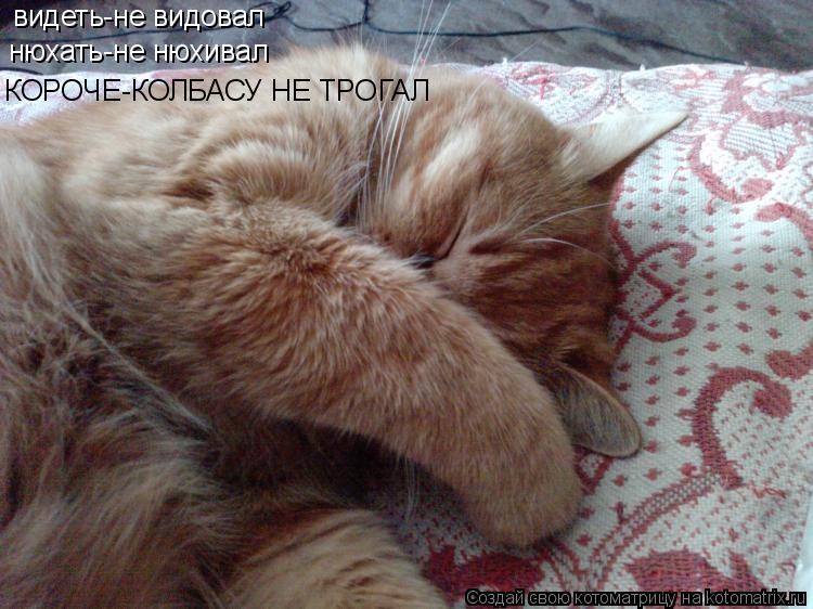 видеть-не видовал нюхать-не нюхивал КОРОЧЕ-КОЛБАСУ НЕ ТРОГАЛ... Котоматрица: видеть-не видовал нюхать-не нюхивал КОРОЧЕ-КОЛБАСУ НЕ ТРОГАЛ