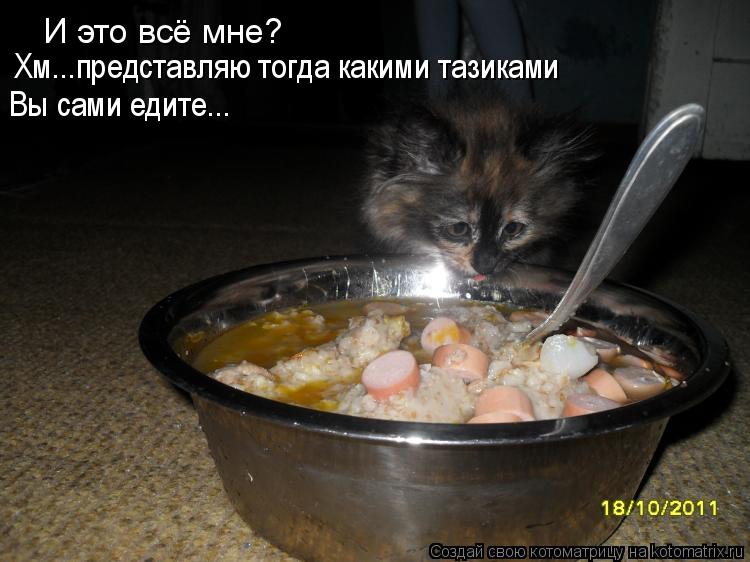 И это всё мне? Хм...представляю тогда какими тазиками Вы сами едите...... Котоматрица: И это всё мне? Хм...представляю тогда какими тазиками Вы сами едите...