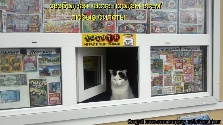 ,,свободная касса продам всем" любые билеты... Котоматрица: ,,свободная касса продам всем" любые билеты
