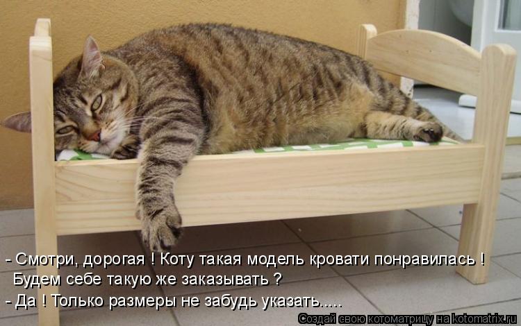 - Смотри, дорогая ! Коту такая модель кровати понравилась ! Будем себе такую же заказывать ? - Да ! Т... Котоматрица: - Смотри, дорогая ! Коту такая модель кровати понравилась ! Будем себе такую же заказывать ? - Да ! Только размеры не забудь указать.....