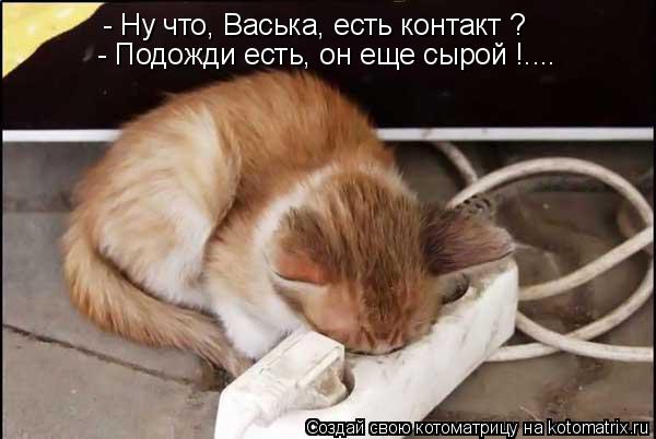 - Ну что, Васька, есть контакт ? - Подожди есть, он еще сырой !....... Котоматрица: - Ну что, Васька, есть контакт ? - Подожди есть, он еще сырой !....