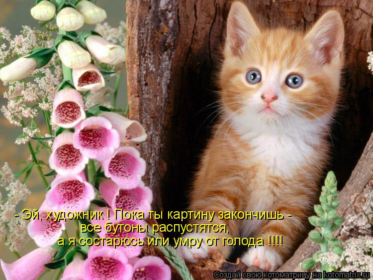 - Эй, художник ! Пока ты картину закончишь - все бутоны распустятся, а я состарюсь или умру от голода... Котоматрица: - Эй, художник ! Пока ты картину закончишь - все бутоны распустятся, а я состарюсь или умру от голода !!!!