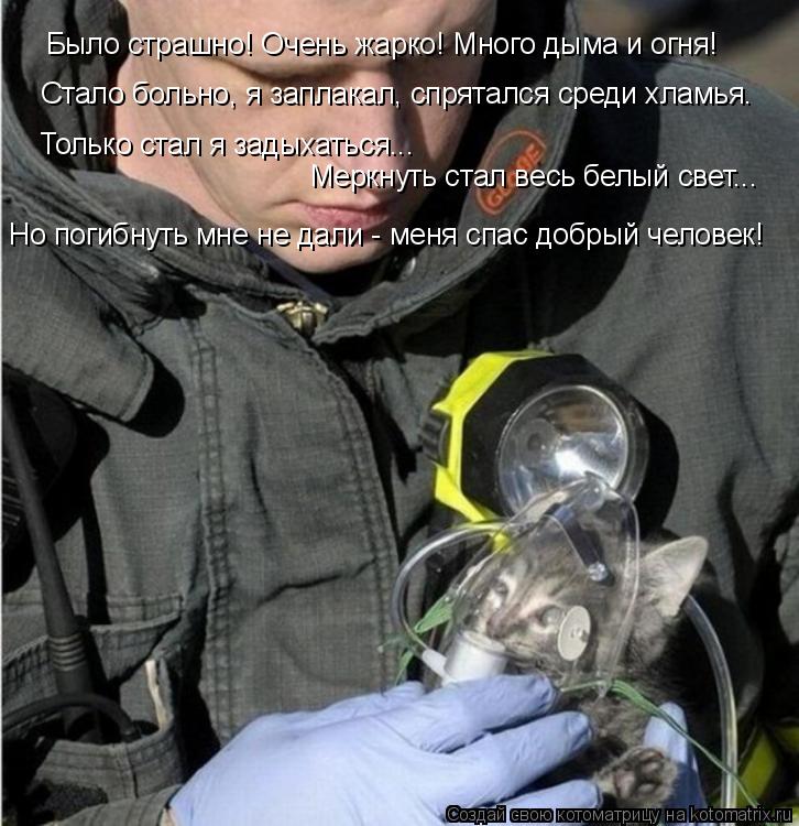 Было страшно! Очень жарко! Много дыма и огня! Стало больно, я заплакал, спрятался среди хламья. Тольк... Котоматрица: Было страшно! Очень жарко! Много дыма и огня! Стало больно, я заплакал, спрятался среди хламья. Только стал я задыхаться... Меркнуть стал весь