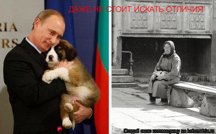 ДАЖЕ НЕ СТОИТ ИСКАТЬ ОТЛИЧИЯ... Котоматрица: ДАЖЕ НЕ СТОИТ ИСКАТЬ ОТЛИЧИЯ