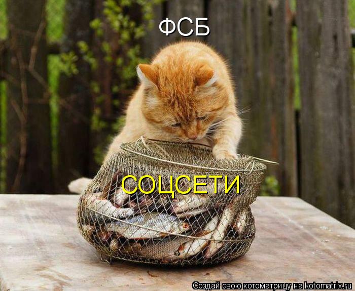 ФСБ СОЦСЕТИ... Котоматрица: ФСБ СОЦСЕТИ