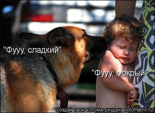 "Фууу, сладкий" "Фууу, мокрый"... Котоматрица: "Фууу, сладкий" "Фууу, мокрый"