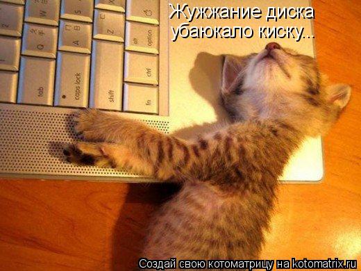 Жужжание диска убаюкало киску...... Котоматрица: Жужжание диска убаюкало киску...