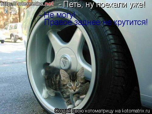 - Петь, ну поехали уже! - Не могу! Правое заднее не крутится!... Котоматрица: - Петь, ну поехали уже! - Не могу! Правое заднее не крутится!