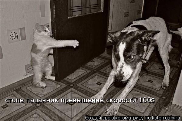 стопе пацанчик превышение скорости 100$... Котоматрица: стопе пацанчик превышение скорости 100$