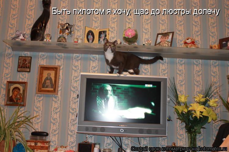 Быть пилотом я хочу, щас до люстры долечу Быть пилотом я хочу, щас до люстры долечу... Котоматрица: Быть пилотом я хочу, щас до люстры долечу Быть пилотом я хочу, щас до люстры долечу