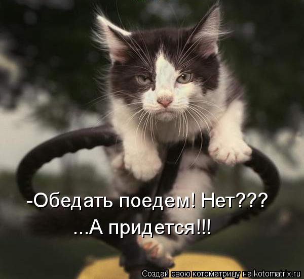 -Обедать поедем! Нет??? ...А придется!!!... Котоматрица: -Обедать поедем! Нет??? ...А придется!!!