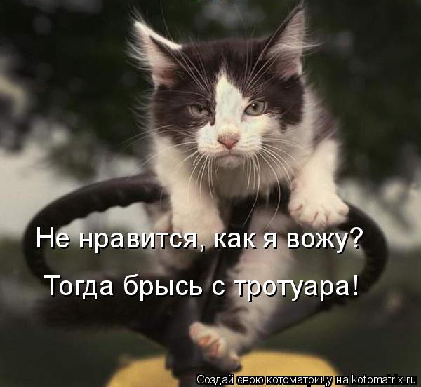 Не нравится, как я вожу? Тогда брысь с тротуара!... Котоматрица: Не нравится, как я вожу? Тогда брысь с тротуара!