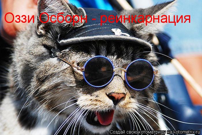 Оззи Осборн - реинкарнация... Котоматрица: Оззи Осборн - реинкарнация
