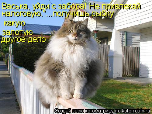 Васька, уйди с забора! Не привлекай налоговую."...получишь рыбку какую залотую другое дело... Котоматрица: Васька, уйди с забора! Не привлекай налоговую."...получишь рыбку какую залотую другое дело