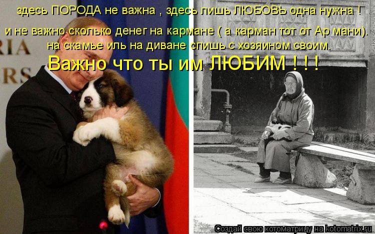 здесь ПОРОДА не важна , здесь лишь ЛЮБОВЬ одна нужна ! и не важно сколько денег на кармане ( а карман... Котоматрица: здесь ПОРОДА не важна , здесь лишь ЛЮБОВЬ одна нужна ! и не важно сколько денег на кармане ( а карман тот от Ар мани). на скамье иль на диване сп