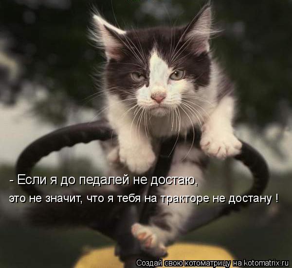 - Если я до педалей не достаю, это не значит, что я тебя на тракторе не достану !... Котоматрица: - Если я до педалей не достаю, это не значит, что я тебя на тракторе не достану !