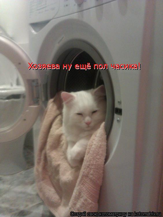 Хозяева ну ещё пол часика! Хозяева ну ещё пол часика!... Котоматрица: Хозяева ну ещё пол часика! Хозяева ну ещё пол часика!