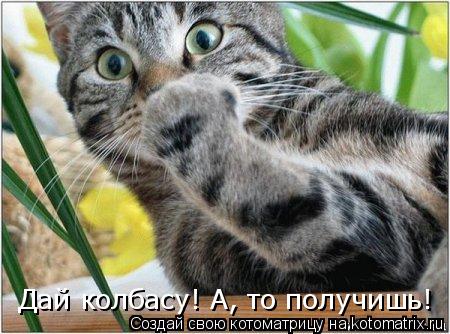 Дай колбасу! А, то получишь!... Котоматрица: Дай колбасу! А, то получишь!