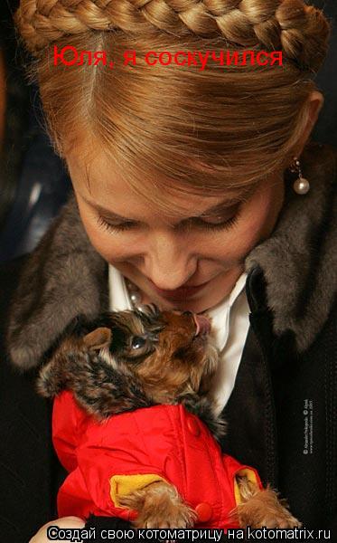 Юля, я соскучился... Котоматрица: Юля, я соскучился