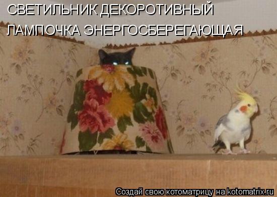 СВЕТИЛЬНИК ДЕКОРОТИВНЫЙ ЛАМПОЧКА ЭНЕРГОСБЕРЕГАЮЩАЯ... Котоматрица: СВЕТИЛЬНИК ДЕКОРОТИВНЫЙ ЛАМПОЧКА ЭНЕРГОСБЕРЕГАЮЩАЯ