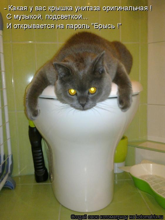 - Какая у вас крышка унитаза оригинальная ! С музыкой, подсветкой... И открывается на пароль "Брысь ... Котоматрица: - Какая у вас крышка унитаза оригинальная ! С музыкой, подсветкой... И открывается на пароль "Брысь !"