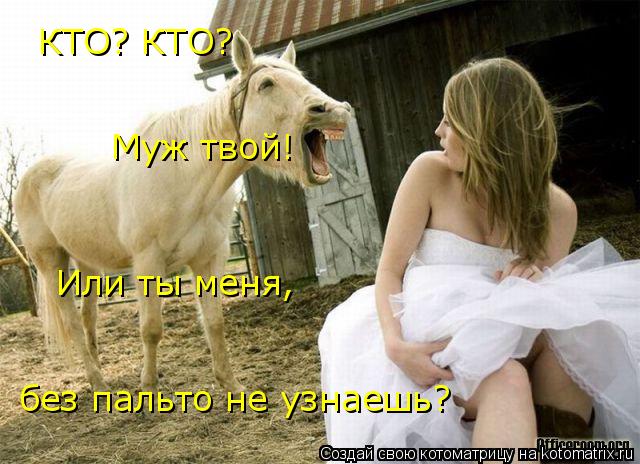 КТО? КТО? Муж твой! Или ты меня, без пальто не узнаешь?... Котоматрица: КТО? КТО? Муж твой! Или ты меня, без пальто не узнаешь?