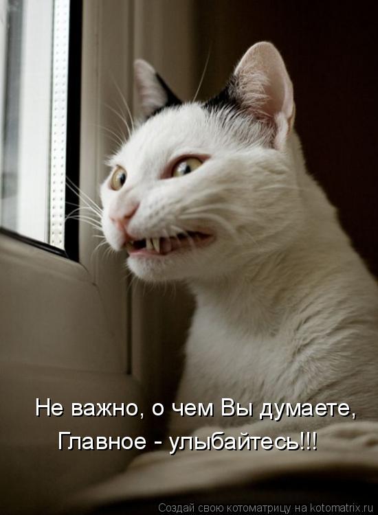 Главное - улыбайтесь!!! Не важно, о чем Вы думаете,... Котоматрица: Главное - улыбайтесь!!! Не важно, о чем Вы думаете,