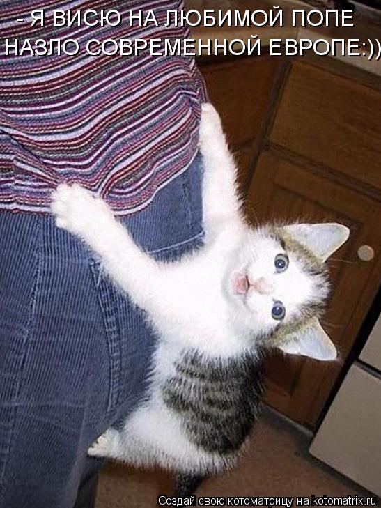 НАЗЛО СОВРЕМЕННОЙ ЕВРОПЕ:))) - Я ВИСЮ НА ЛЮБИМОЙ ПОПЕ... Котоматрица: НАЗЛО СОВРЕМЕННОЙ ЕВРОПЕ:))) - Я ВИСЮ НА ЛЮБИМОЙ ПОПЕ