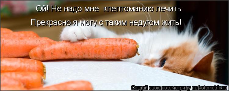 Ой! Не надо мне клептоманию лечить Прекрасно я могу с таким недугом жить!... Котоматрица: Ой! Не надо мне клептоманию лечить Прекрасно я могу с таким недугом жить!