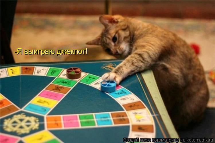 Котоматрица: -Я выиграю джекпот!