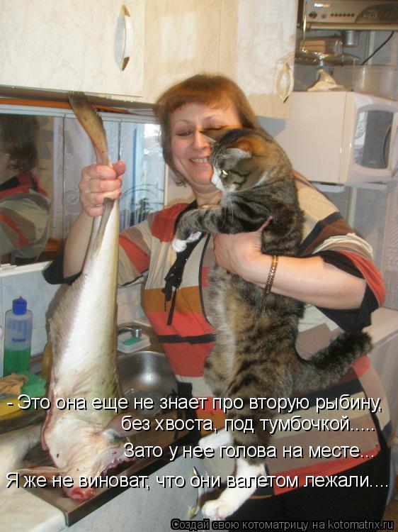 Котоматрица: - Это она еще не знает про вторую рыбину, без хвоста, под тумбочкой..... Зато у нее голова на месте... Я же не виноват, что они валетом лежали....