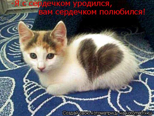 Котоматрица: -Я с сердечком уродился,  вам сердечком полюбился!
