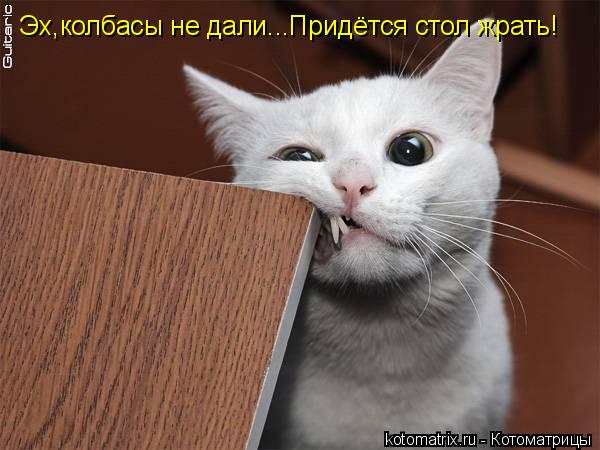 Котоматрица: Эх,колбасы не дали...Придётся стол жрать!