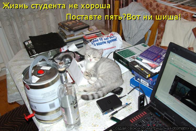 Котоматрица: Жизнь студента не хороша Поставте пять?Вот ни шиша!