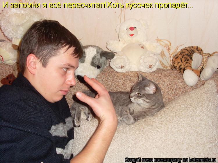 Котоматрица: И запомни я всё пересчитал!Хоть кусочек пропадёт...