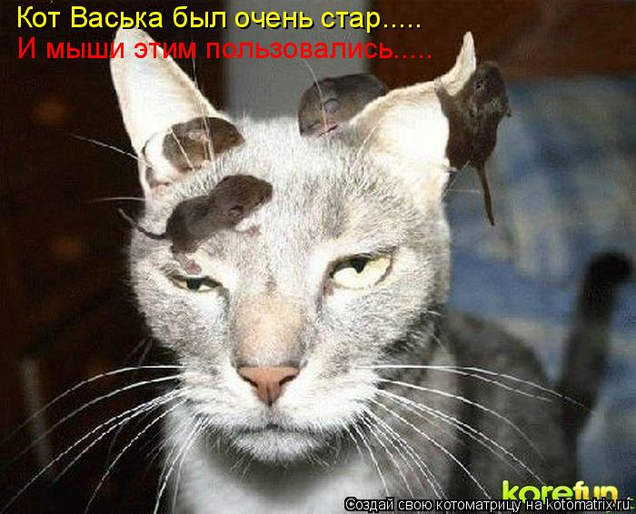 Котоматрица: Кот Васька был очень стар..... И мыши этим пользовались.....