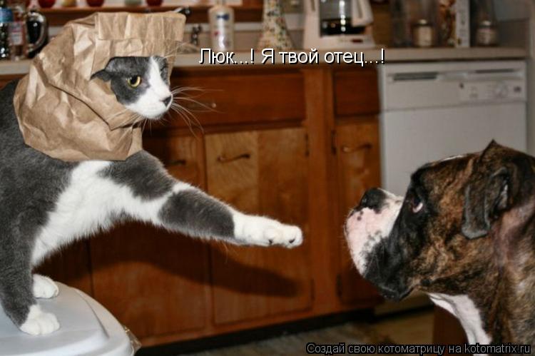 Люк...! Я твой отец...!... Котоматрица: Люк...! Я твой отец...!
