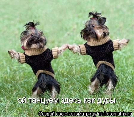 ой,танцуем здесь как дуры... Котоматрица: ой,танцуем здесь как дуры