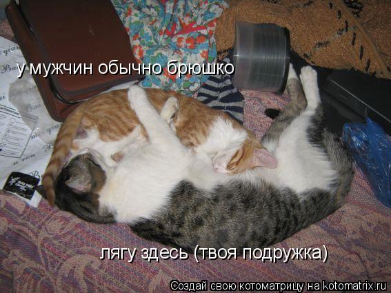у мужчин обычно брюшко лягу здесь (твоя подружка)... Котоматрица: у мужчин обычно брюшко лягу здесь (твоя подружка)