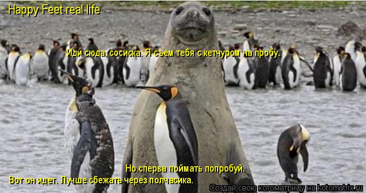 Иди сюда, сосиска. Я съем тебя с кетчуром на пробу. Иди сюда, сосиска. Я съем тебя с кетчуром на проб... Котоматрица: Иди сюда, сосиска. Я съем тебя с кетчуром на пробу. Иди сюда, сосиска. Я съем тебя с кетчуром на пробу. Но сперва поймать попробуй. Вот он идет.