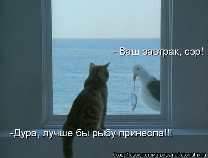 - Ваш завтрак, сэр! -Дура, лучше бы рыбу принесла!!!... Котоматрица: - Ваш завтрак, сэр! -Дура, лучше бы рыбу принесла!!!