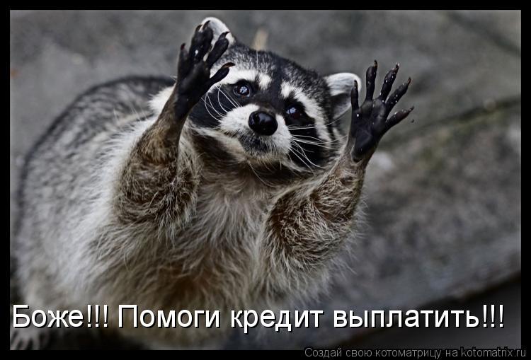 Боже!!! Помоги кредит выплатить!!!... Котоматрица: Боже!!! Помоги кредит выплатить!!!